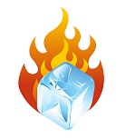 Logo for the Fire & Ice Auction